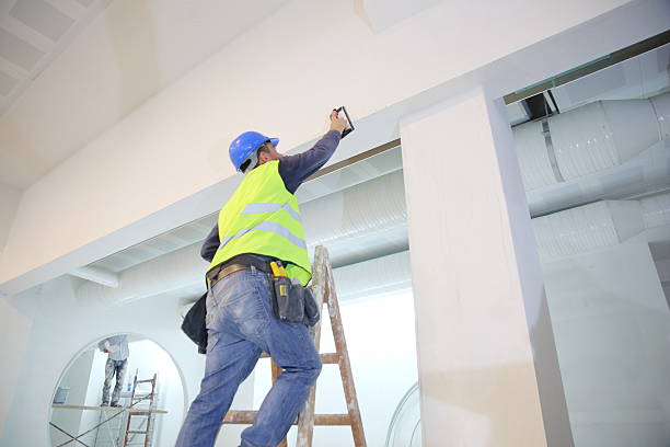 Environmental Consulting for Mold Prevention in Buffalo, MO